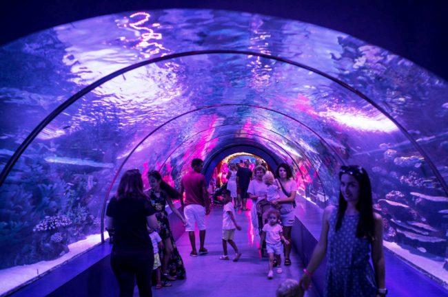 Aquarium to replace former Lord & Taylor store at Galleria Mall