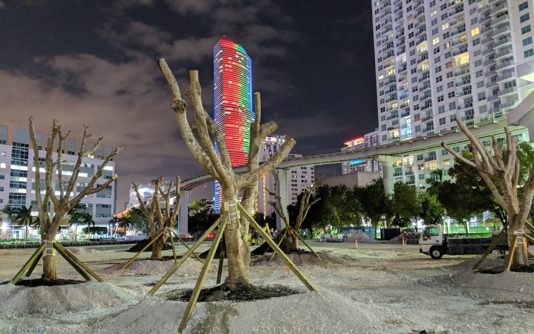 Mature Trees Planted At Riverfront Lot Next To Brickell City Centre